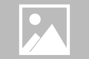 满冠APP-关于本土球员大放异彩，成为胜利保障的信息