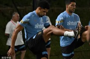 满冠官网-关于乌拉圭女足队遭遇瑞典绝杀，悲剧告终的信息