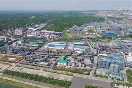 MANGUAN-广东篮球队奏响胜利之歌，继续领跑的简单介绍