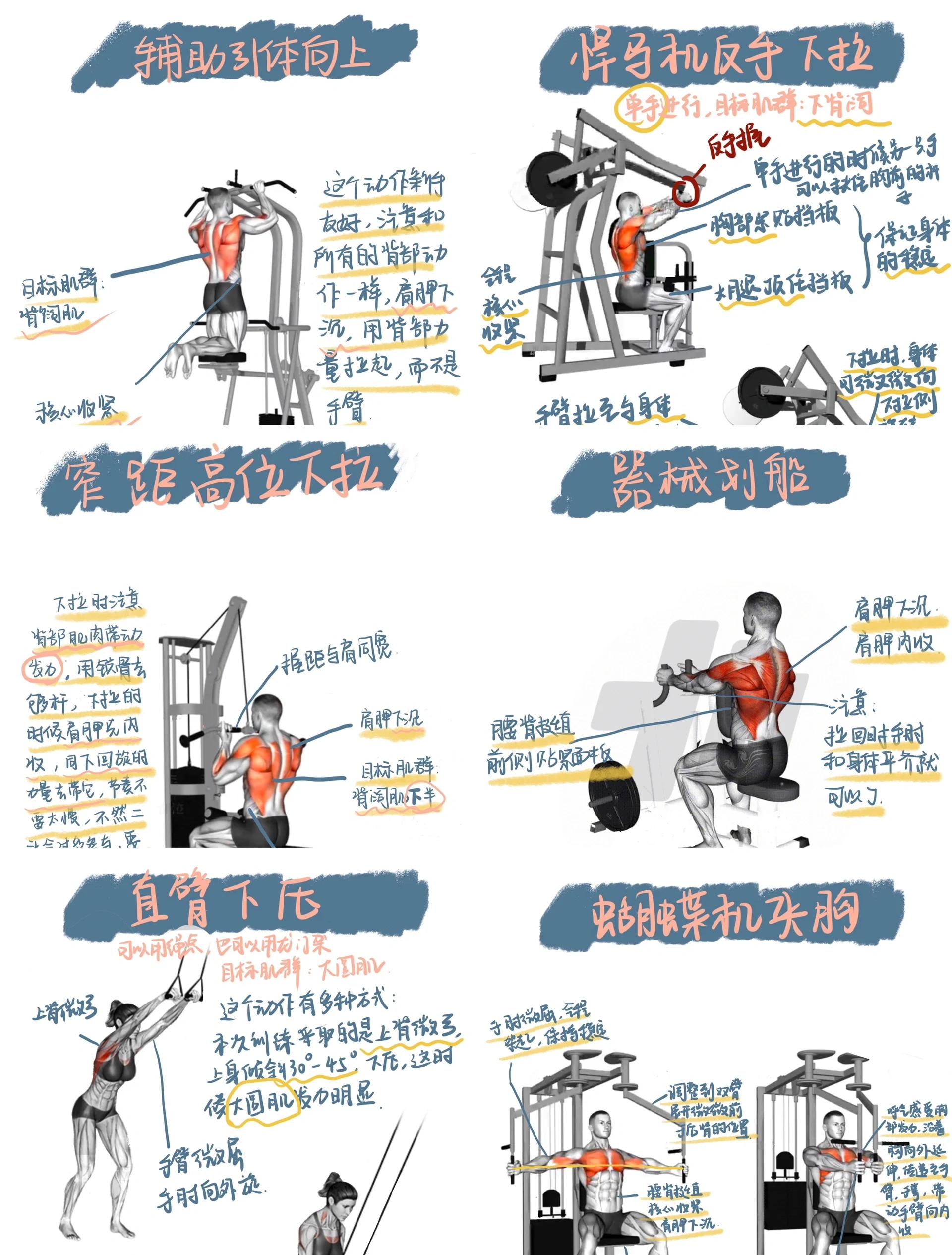 球员个人训练特辑揭秘，技术细节深度解读的简单介绍